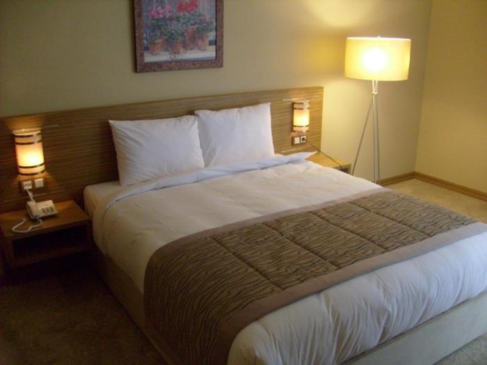 Hotel Almina Park Duzce Chambre photo